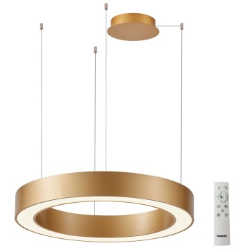 Azzardo AZ5054 - LED ljusreglerad ljuskrona på textilsladd MARCO LED/100W/230V guld + fjärrkontroll