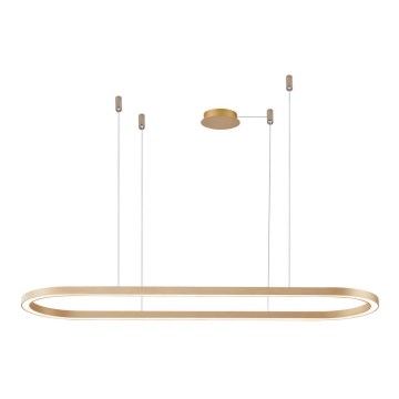 Azzardo AZ5056 - LED ljusreglerad ljuskrona på textilsladd ELENA LED/50W/230V 120 cm guld
