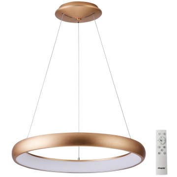 Azzardo AZ5067 - LED ljusreglerad ljuskrona på textilsladd ANTONIO LED/80W/230V guld + fjärrkontroll