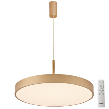 Azzardo AZ5089 - LED ljusreglerad ljuskrona på textilsladd MARCELLO LED/30W/230V guld + fjärrkontroll