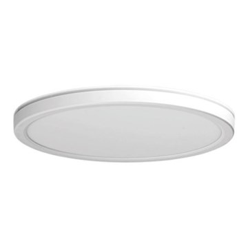 Azzardo AZ5367 - LED ljusreglerad taklampa till badrum PANKA LED/24W/230V IP40 vit
