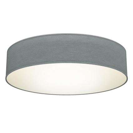 B.K. Licht 1393 - LED taklampa  LED/20W/230V grå