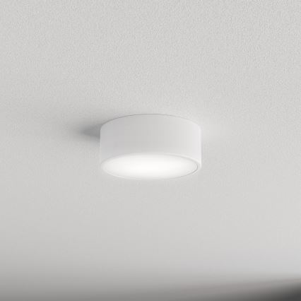 Badrum takbelysning CLEO 1xE27/24W/230V diameter 20 cm vit IP54