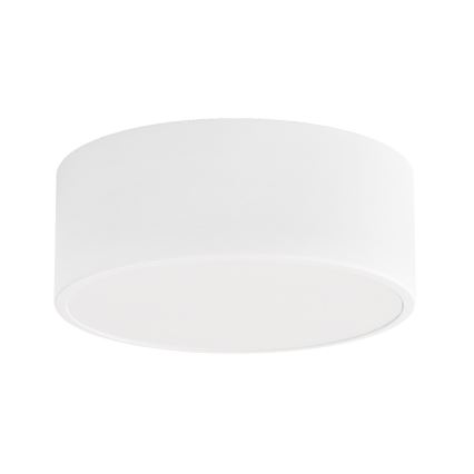 Badrum takbelysning CLEO 1xE27/24W/230V diameter 20 cm vit IP54