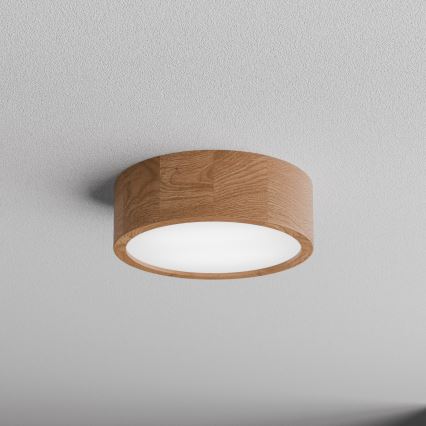 Badrum takbelysning CLEO 2xE27/24W/230V IP54 diameter 27,5 cm ek