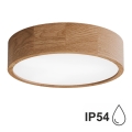 Badrum takbelysning CLEO 3xE27/24W/230V IP54 diameter 37,5 cm ek