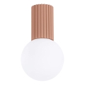 Badrum takbelysning HALO 1xG9/8W/230V diameter 12 cm IP44 brun