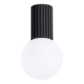 Badrum takbelysning HALO 1xG9/8W/230V diameter 12 cm IP44 svart