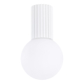 Badrum takbelysning HALO 1xG9/8W/230V diameter 12 cm IP44 vit