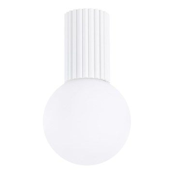 Badrum takbelysning HALO 1xG9/8W/230V diameter 12 cm IP44 vit
