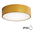 Badrum taklampa  CLEO 2xE27/24W/230V d. 30 cm gold IP54