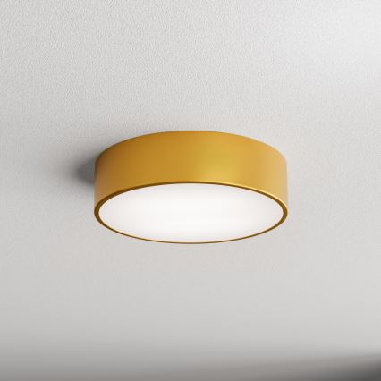 Badrum taklampa  CLEO 2xE27/24W/230V d. 30 cm gold IP54