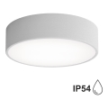 Badrum taklampa  CLEO 2xE27/24W/230V d. 30 cm grå IP54