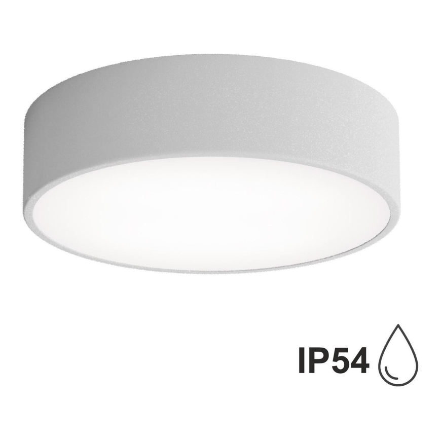 Badrum taklampa  CLEO 2xE27/24W/230V d. 30 cm grå IP54