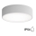 Badrum taklampa  CLEO 2xE27/24W/230V d. 30 cm grå IP54