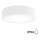 Badrum taklampa  CLEO 2xE27/24W/230V d. 30 cm vit  IP54
