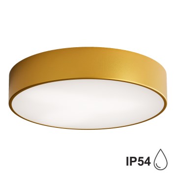 Badrum taklampa  CLEO 3xE27/24W/230V d. 40 cm gold IP54