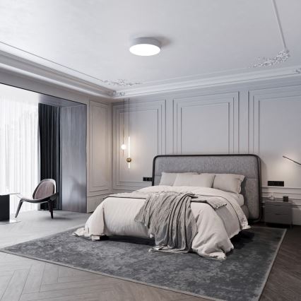Badrum taklampa  CLEO 3xE27/24W/230V d. 40 cm grå IP54