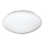 Badrumsbelysning tak med sensor VICTOR 1xE27/60W/230V IP44
