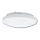 Badrumsbelysning tak VICTOR 2xE27/60W/230V IP44