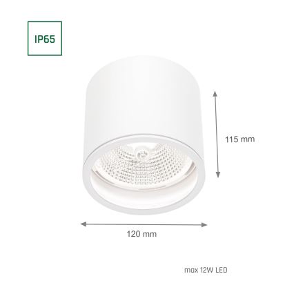 Badrumsspotlight CHLOE AR111 1xGU10/12W/230V IP65 rund vit