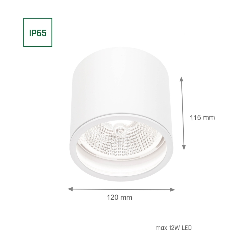 Badrumsspotlight CHLOE AR111 1xGU10/12W/230V IP65 rund vit