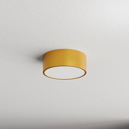 Badrumstaklampa CLEO med rörelsesensor, 1xE27/24W/230V, Ø20 cm, IP54, guldfärgad