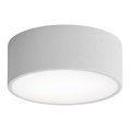 Badrumstaklampa med sensor CLEO 1xE27/24W/230V Ø 20 cm IP54 grå