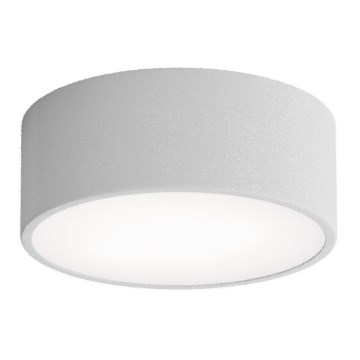 Badrumstaklampa med sensor CLEO 1xE27/24W/230V Ø 20 cm IP54 grå
