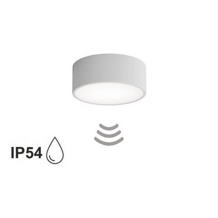 Badrumstaklampa med sensor CLEO 1xE27/24W/230V Ø 20 cm IP54 grå