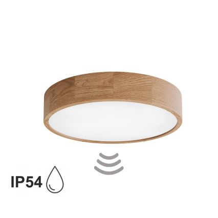 Badrumstaklampa med sensor CLEO 4xE27/24W/230V Ø 47,5 cm IP54 ek