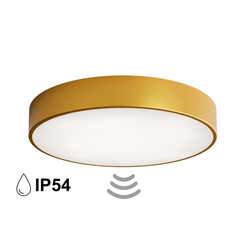 Badrumstaklampa med sensor CLEO 4xE27/24W/230V Ø 50 cm IP54 i guld