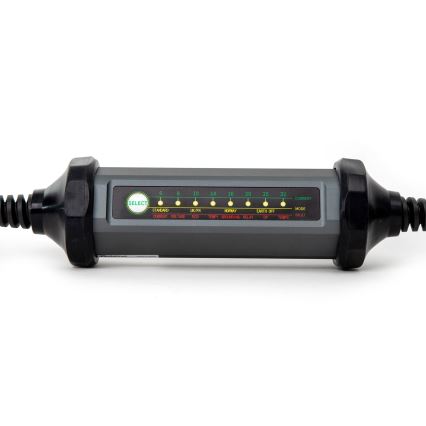 Bärbar laddare för elbilar med 4 adaptrar Typ 2 32A/480V 22kW 7m IP67