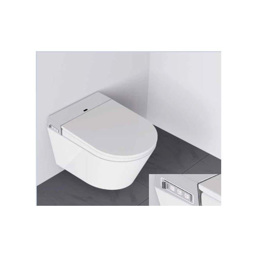 BATH DELUXE 21-040-02-11-00 - Vägghängd toalett med bidé	och toalettsits SoftClose TISVILDELEJE 1600W/230V vit + fjärrkontroll