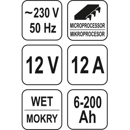 Batteriladdare 12A 230V