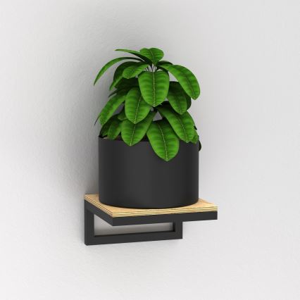 Blomkruka för vägg 9x18 cm