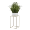 Blomställ 40x24 cm grädde
