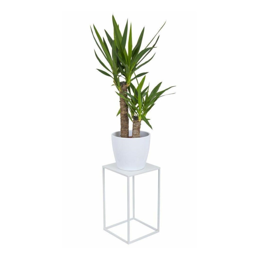 Blomställ 40x24 cm vit