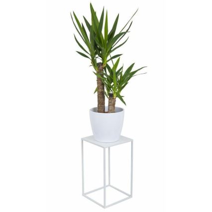 Blomställ 40x24 cm vit