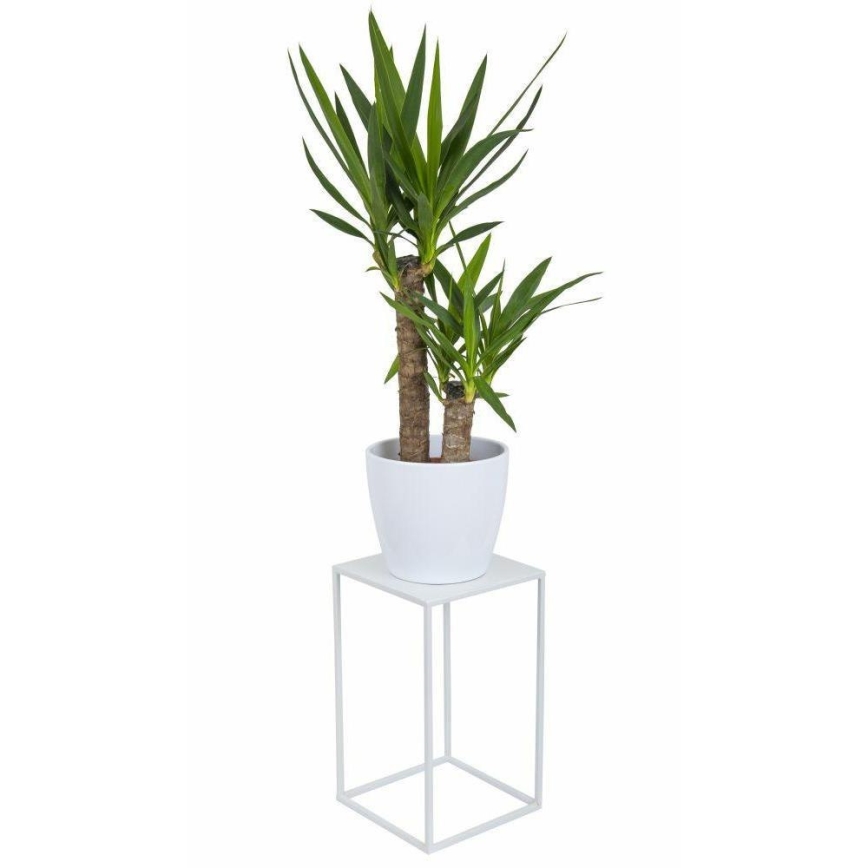 Blomställ 40x24 cm vit