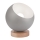 Bordslampa AVA BALL 1xE27/60W/230V silver/bok