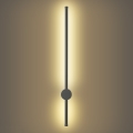 Brilagi - AURA LED utomhusväggarmatur 12W/230V 3000K IP54 65 cm antracit