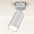 Brilagi - Badrumsspotlight SELE 1xGU10/30W/230V IP44 silver
