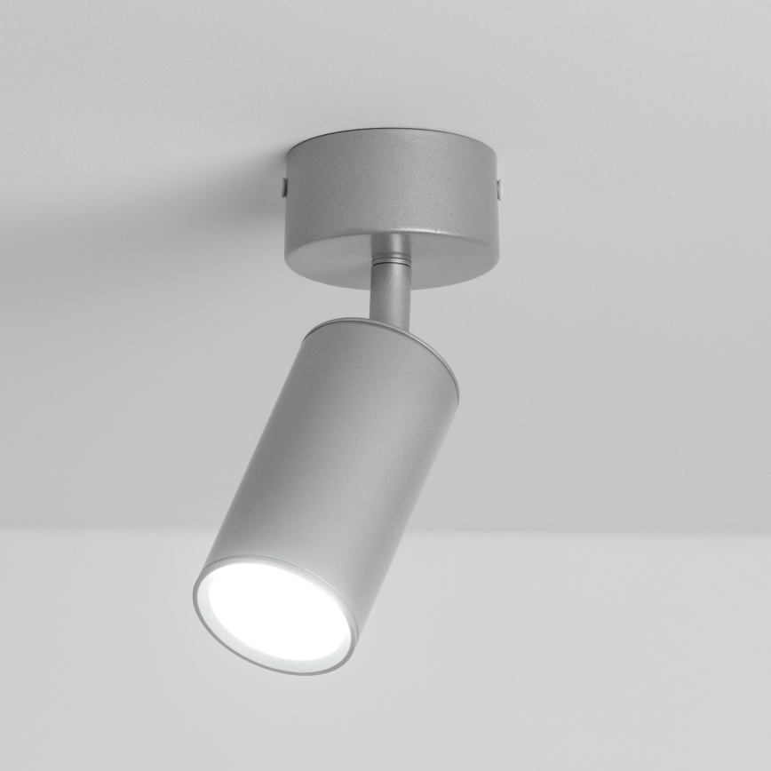 Brilagi - Badrumsspotlight SELE 1xGU10/30W/230V IP44 silver