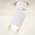 Brilagi - Badrumsspotlight SELE 1xGU10/30W/230V IP44 vit