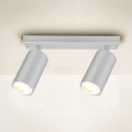 Brilagi - Badrumsspotlight SELE 2xGU10/30W/230V IP44 silver