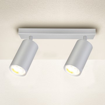 Brilagi - Badrumsspotlight SELE 2xGU10/30W/230V IP44 silver