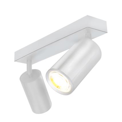 Brilagi - Badrumsspotlight SELE 2xGU10/30W/230V IP44 skinande krom
