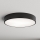 Brilagi - Badrumstaklampa CLARE 4xE27/24W/230V Ø 50 cm IP54 svart