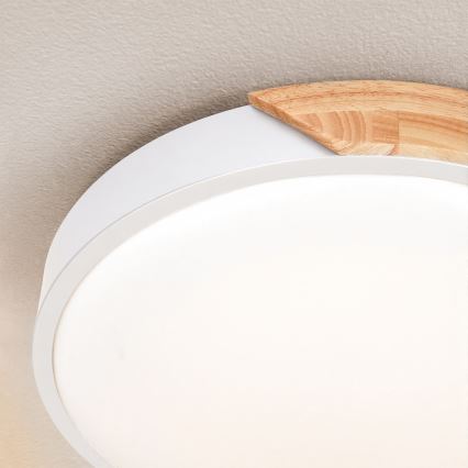 Brilagi - LED dimbar taklampa PILANA LED/48W/230V ek/vit Ø 40 cm + fjärrkontroll